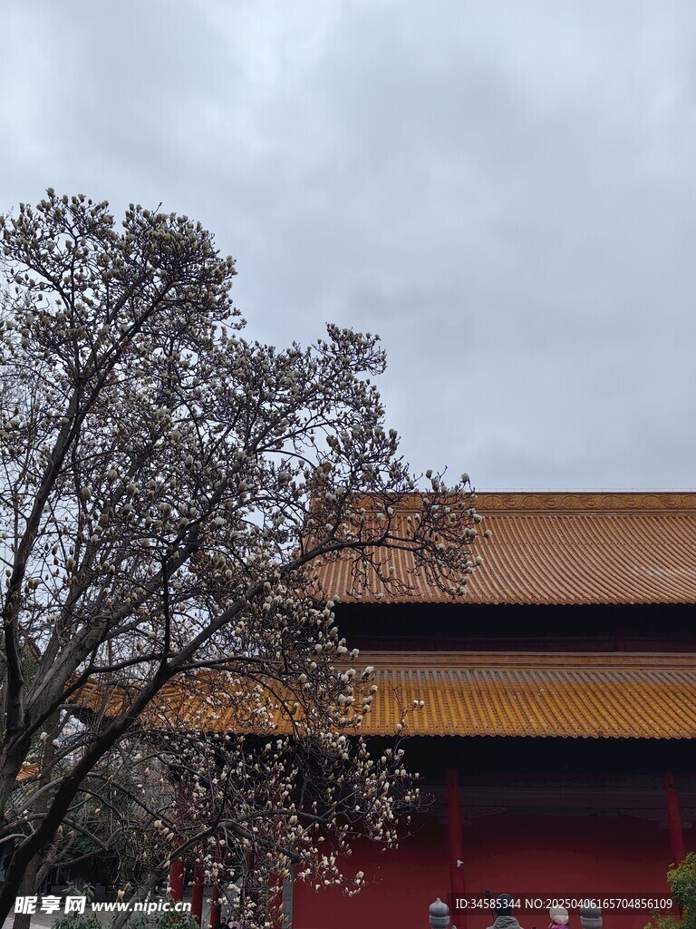 朝天宮