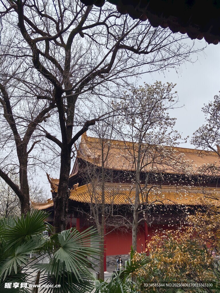 朝天宮