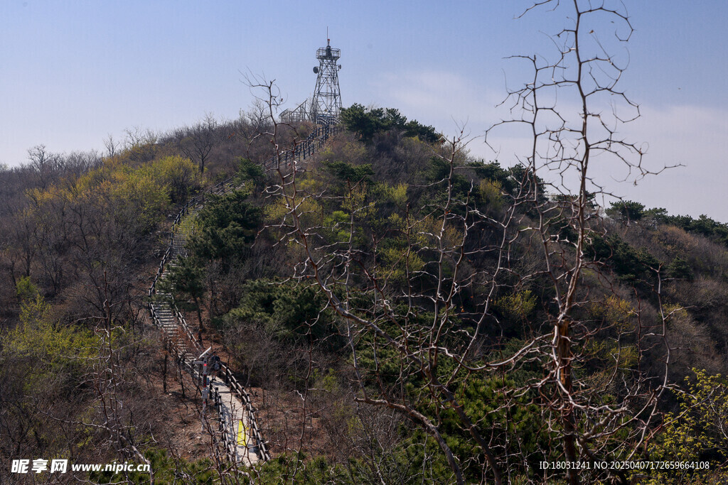 北京八大處虎頭山野山
