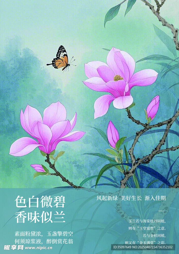 玉蘭