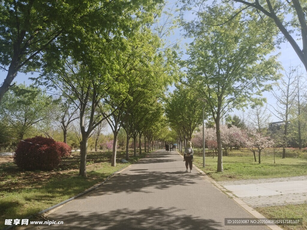 路邊景色