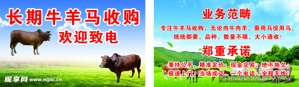 長期牛羊馬收購