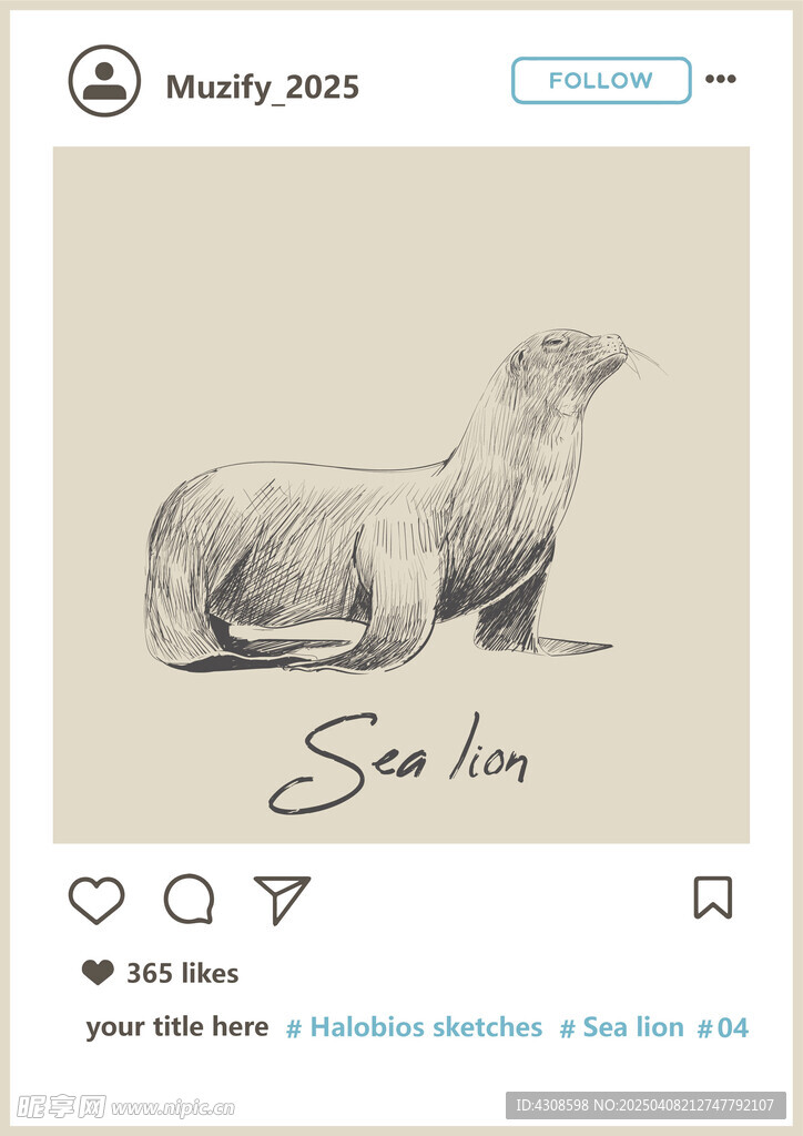 海獅手繪稿