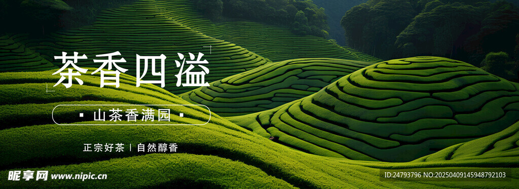 茶葉banner