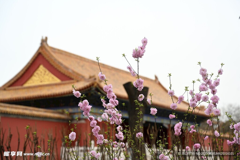 紫禁城
