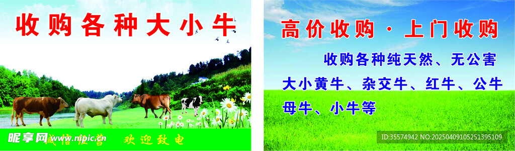 收購各種大小牛