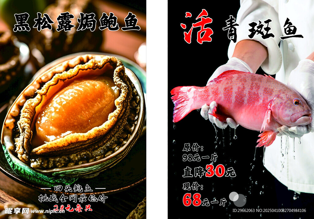 鮑魚 石斑魚