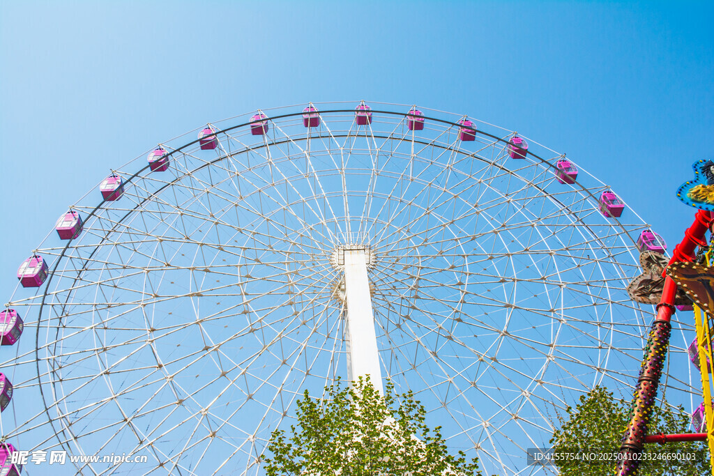 紫色摩天輪樂園