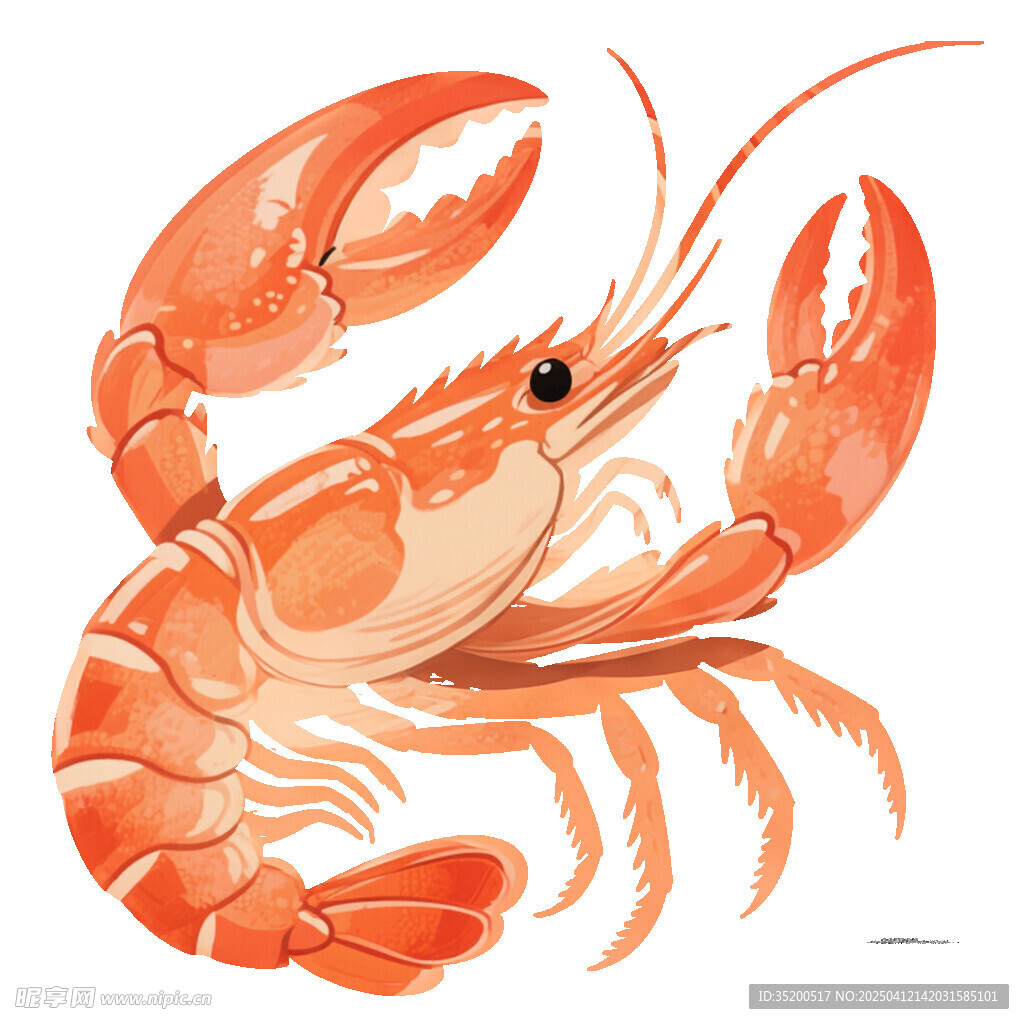 大蝦插畫