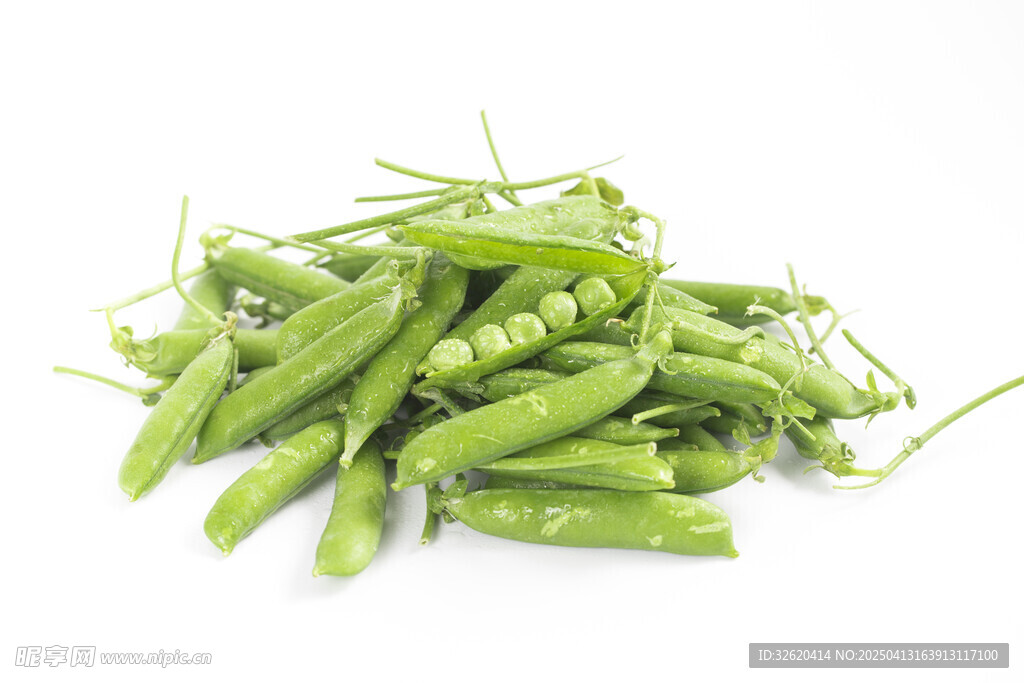 豌豆 甜豆角