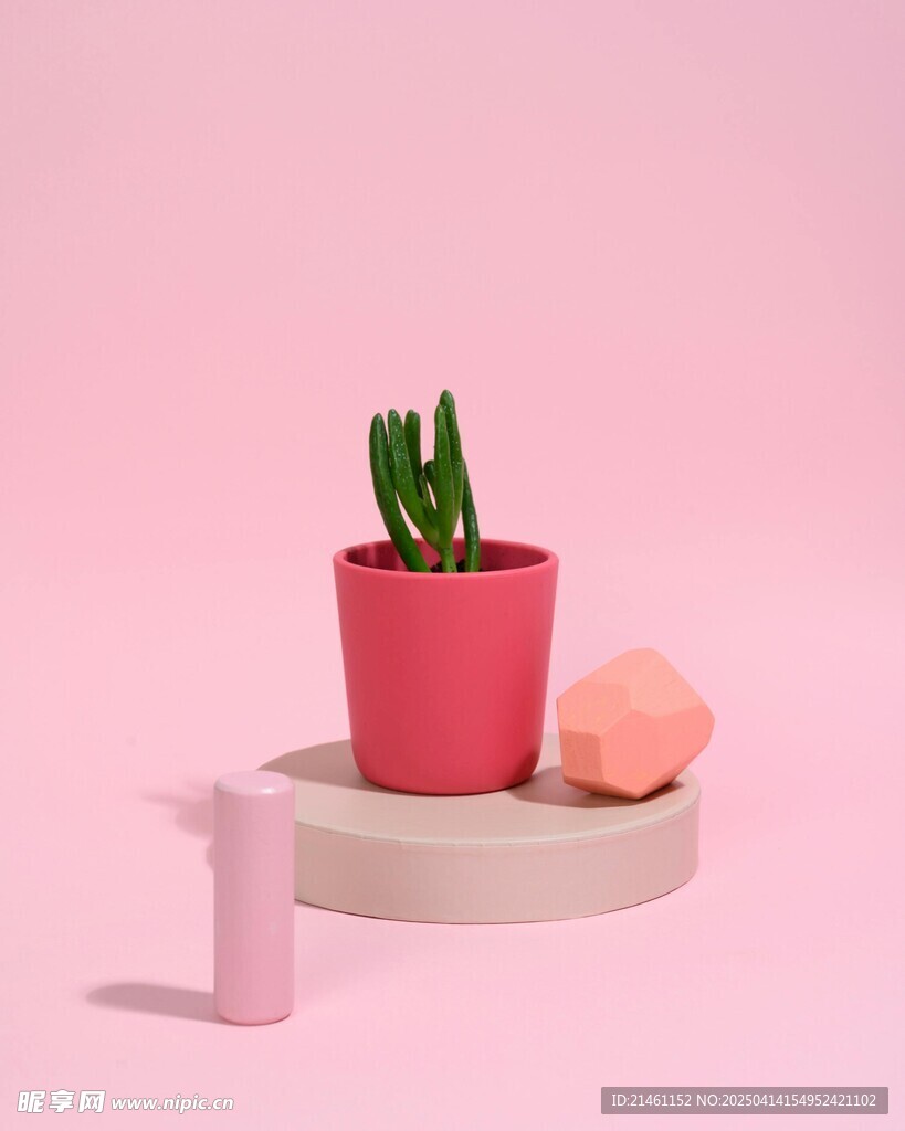 盆栽綠植