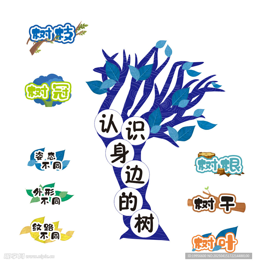 認(rèn)識身邊的樹 小學(xué) 板書