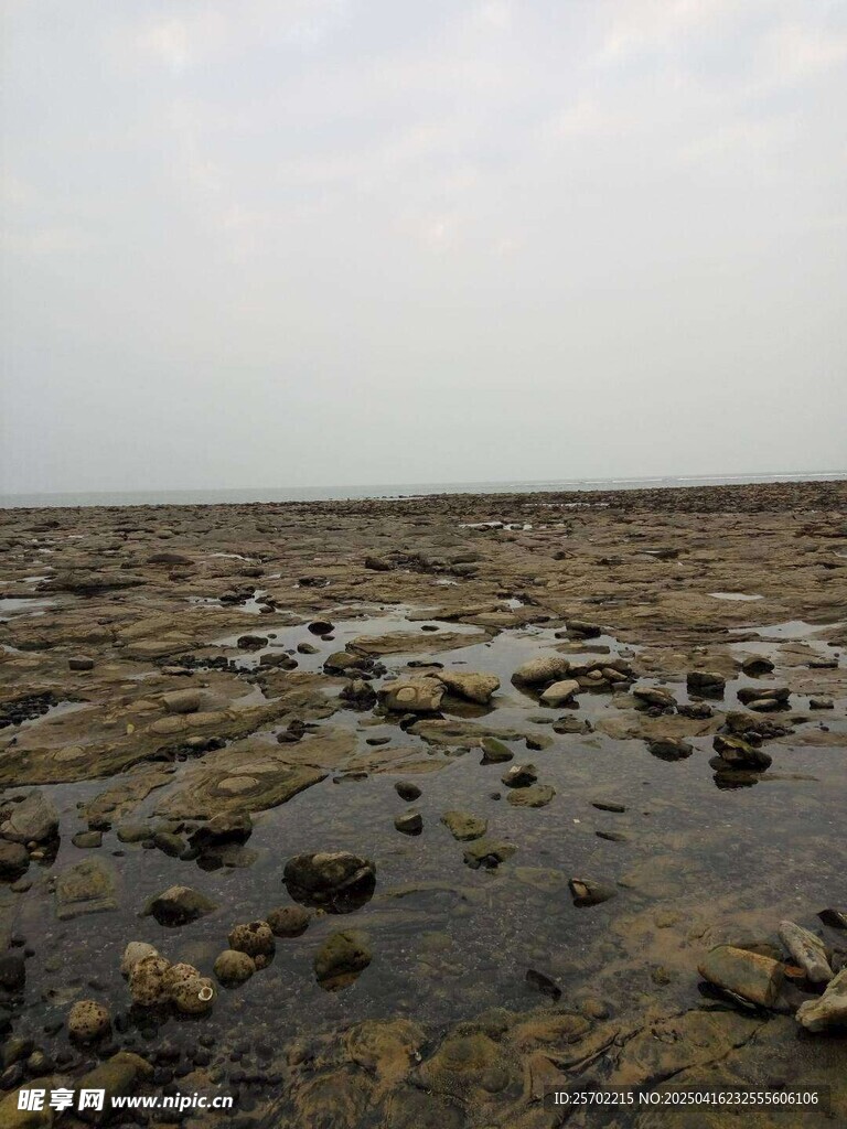 海邊石頭