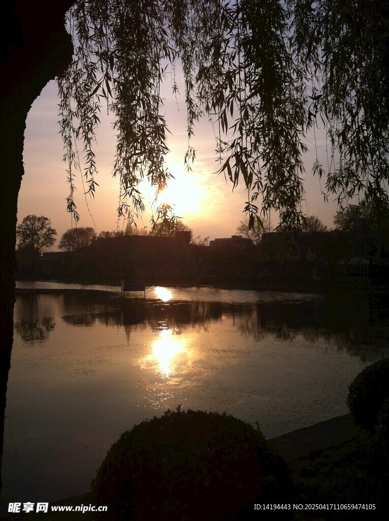 落日余暉  公園拍攝