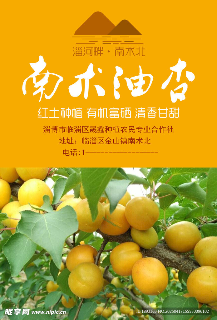 杏子 農產品 富硒  版式設計