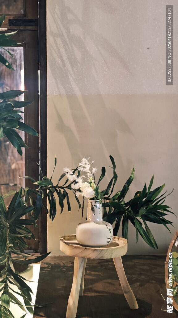 室內(nèi)綠植小景