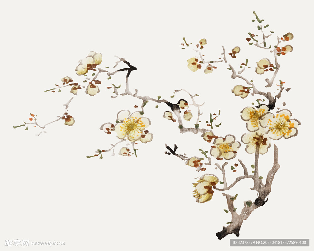 水墨梅花圖