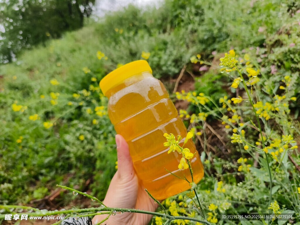 手持蜂蜜瓶于綠植花叢間