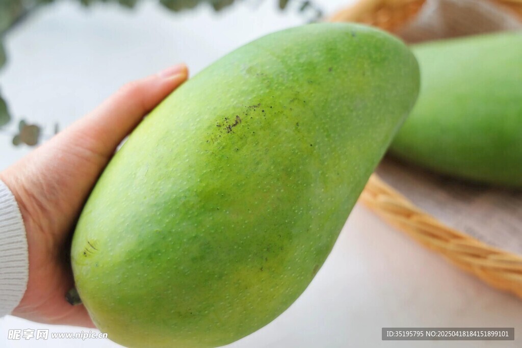 手捧鮮綠大芒果