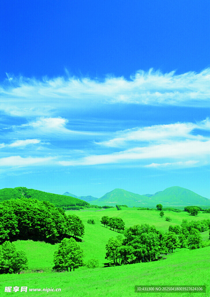 翠綠原野與藍天美景