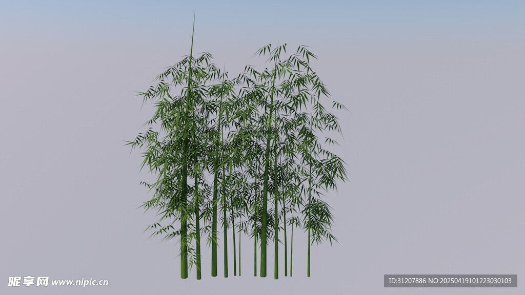 翠綠竹林3D模型展示