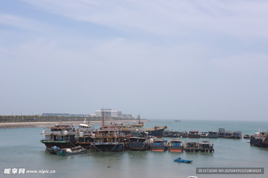 海港停泊船只景象