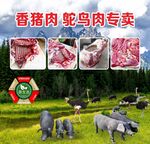 香豬肉鴕鳥肉專賣
