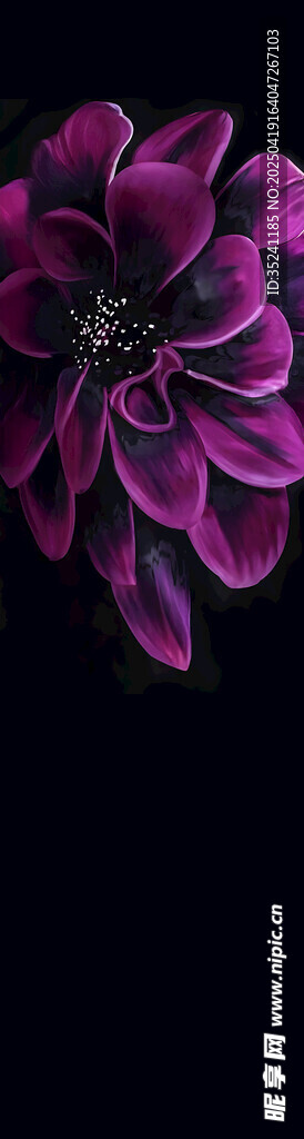 深紫花朵特寫