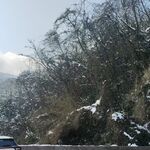 雪覆山林邊的車輛景象