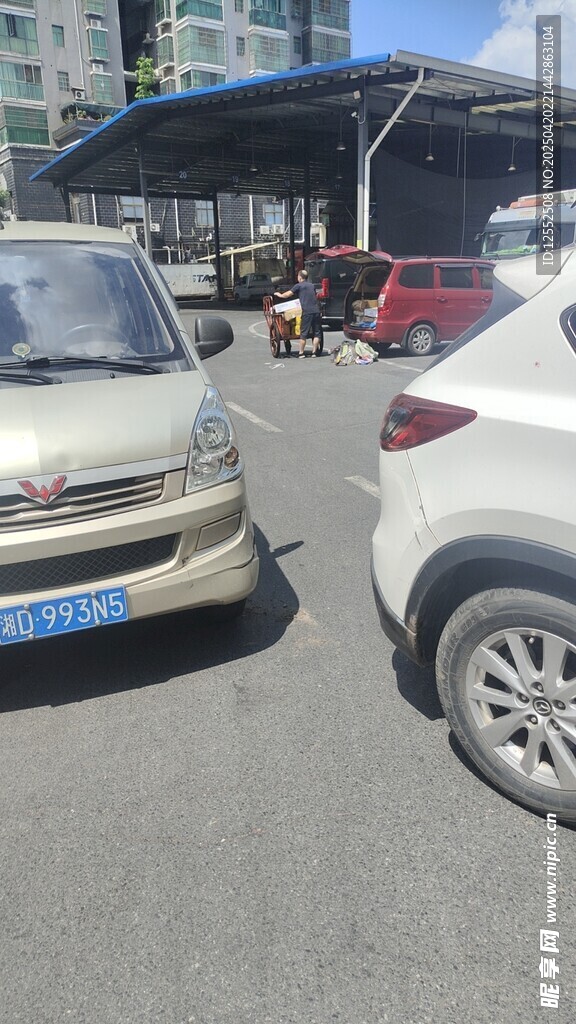 兩輛汽車停在戶外場地