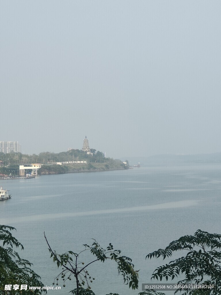 霧中近海