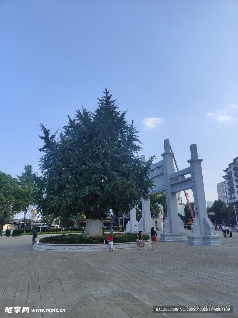 廣場中式牌坊綠樹景觀