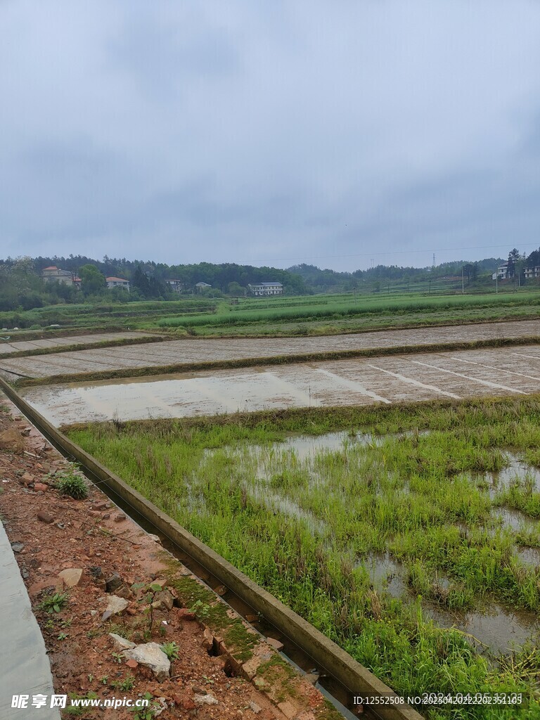 田園水田風(fēng)光
