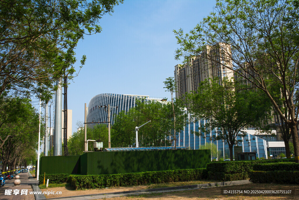 城市街邊綠化與現代建筑