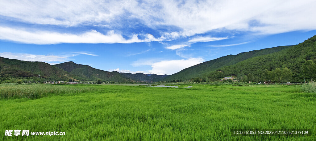 瀘沽湖草海