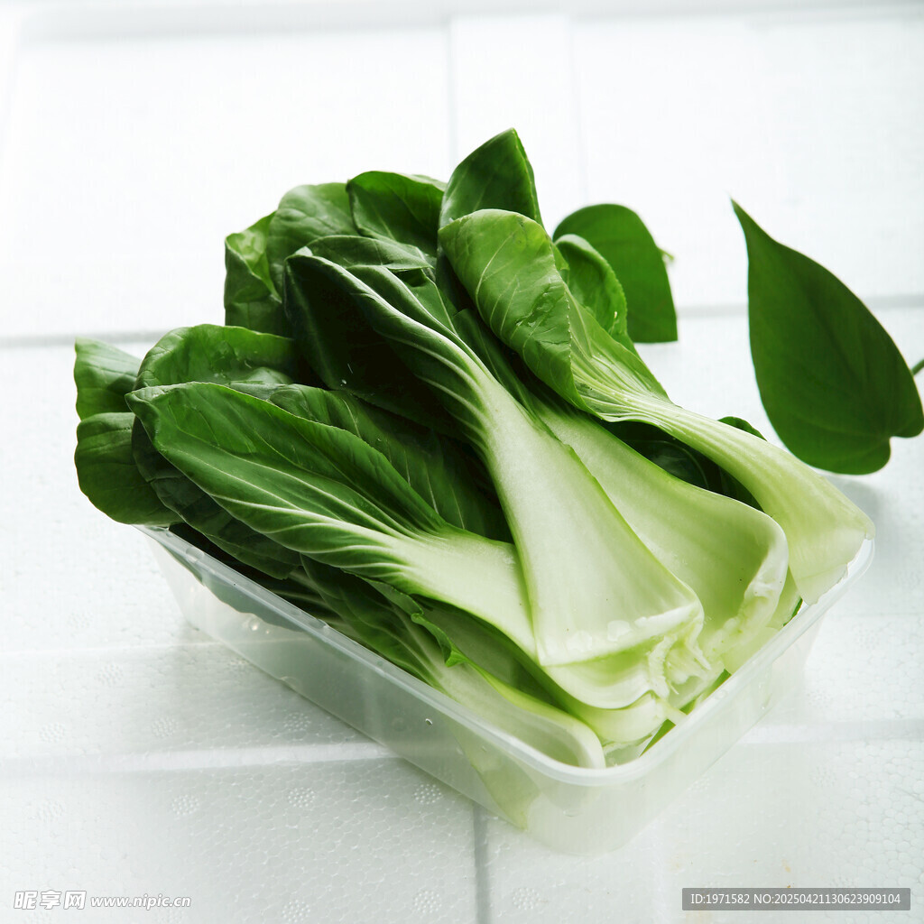 油菜