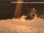 夕陽下的水面與垂柳美景