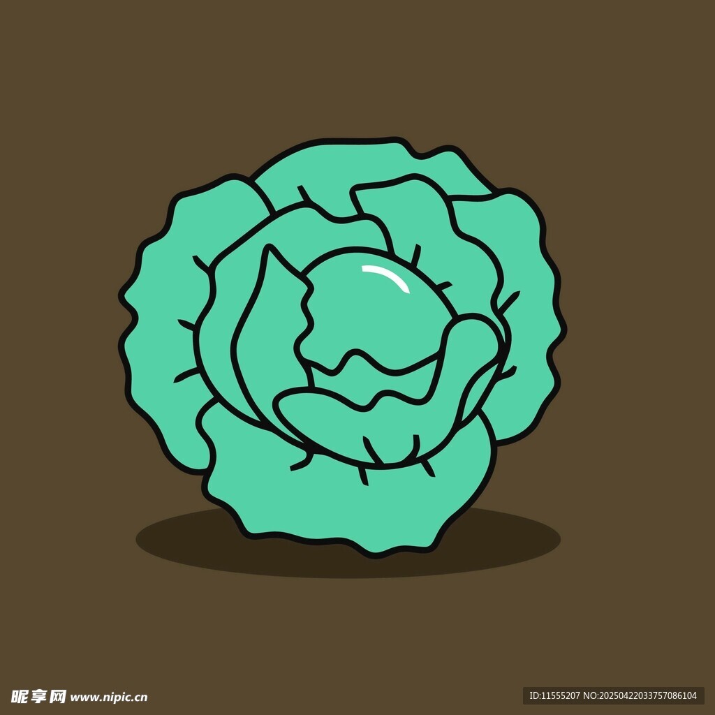 卡通卷心菜插畫