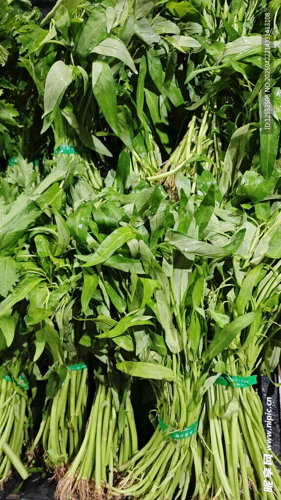 新鮮翠綠長豆角待售