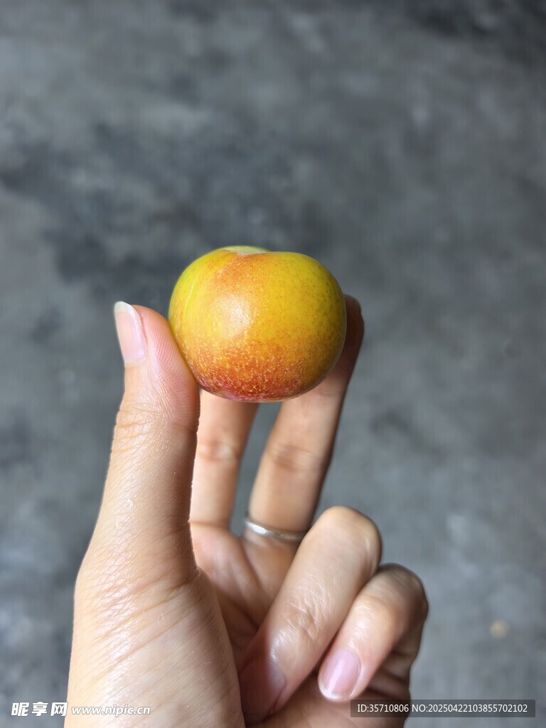 手托黃橙橙的新鮮李子