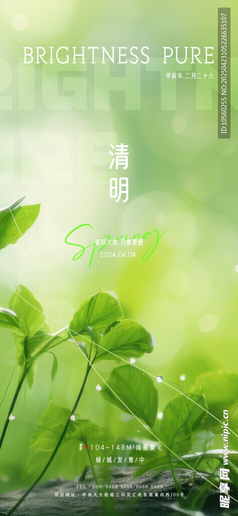 清新綠葉植物生機畫面