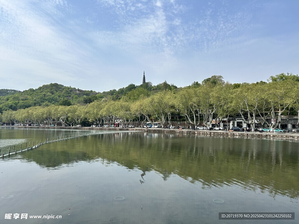 湖畔美景 綠樹碧水相映