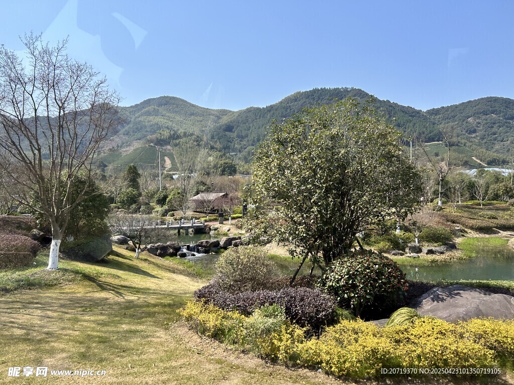 山間秀麗園林景觀