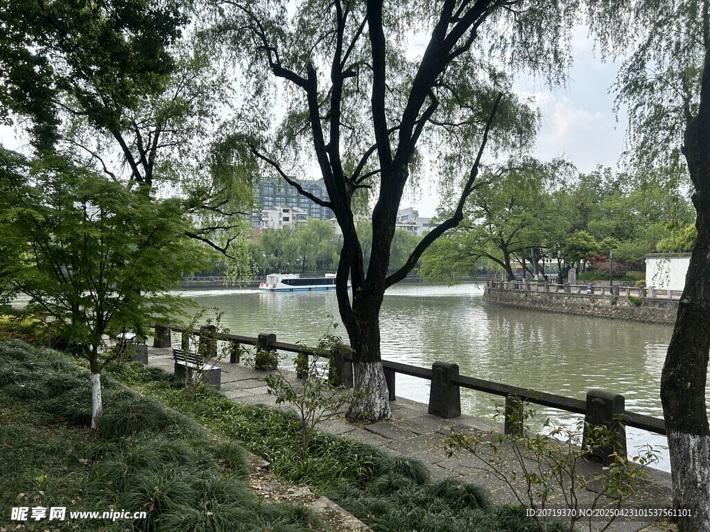 湖畔綠樹環繞的寧靜景致
