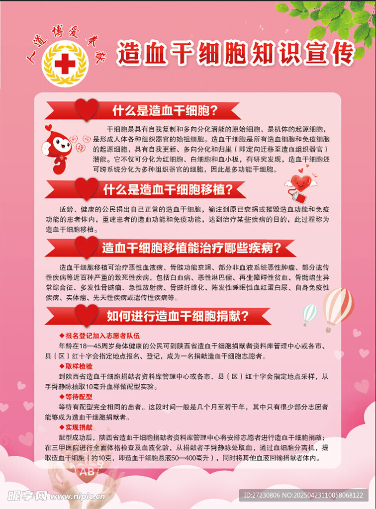 造血干細胞彩頁