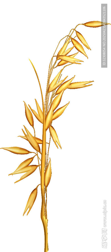 金色蘭花枝