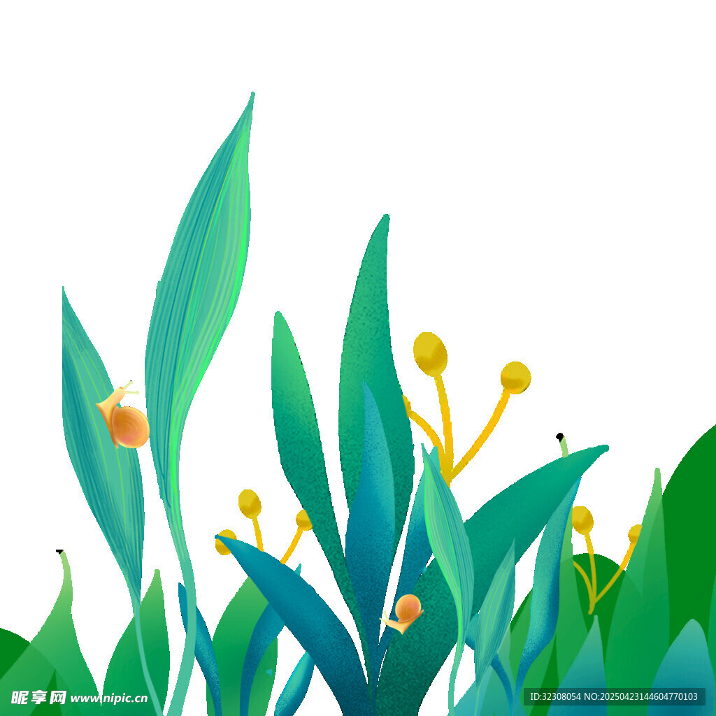 清新綠植花卉插畫