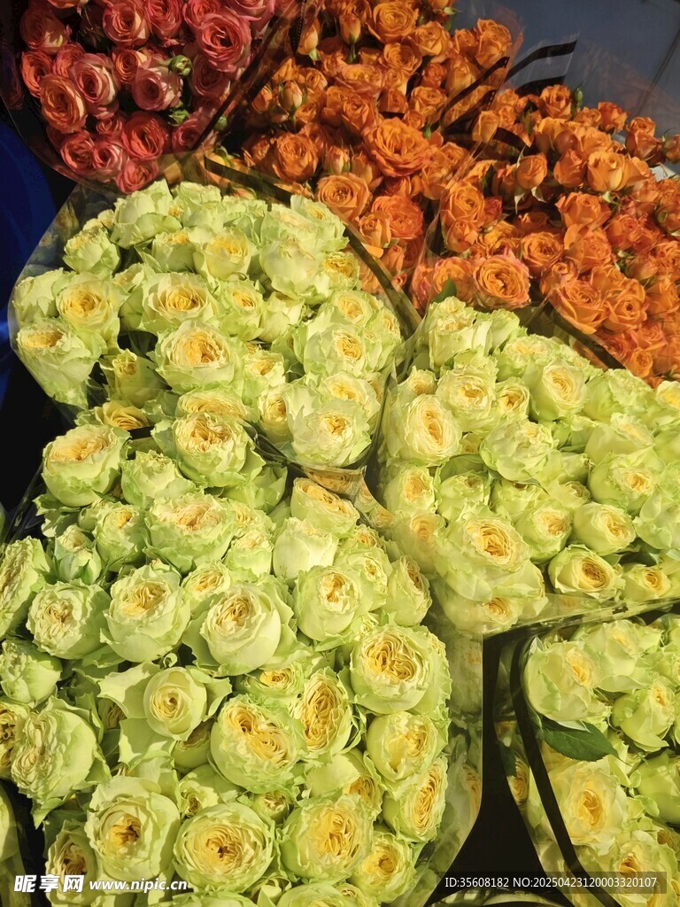 新鮮蔬菜堆疊展示