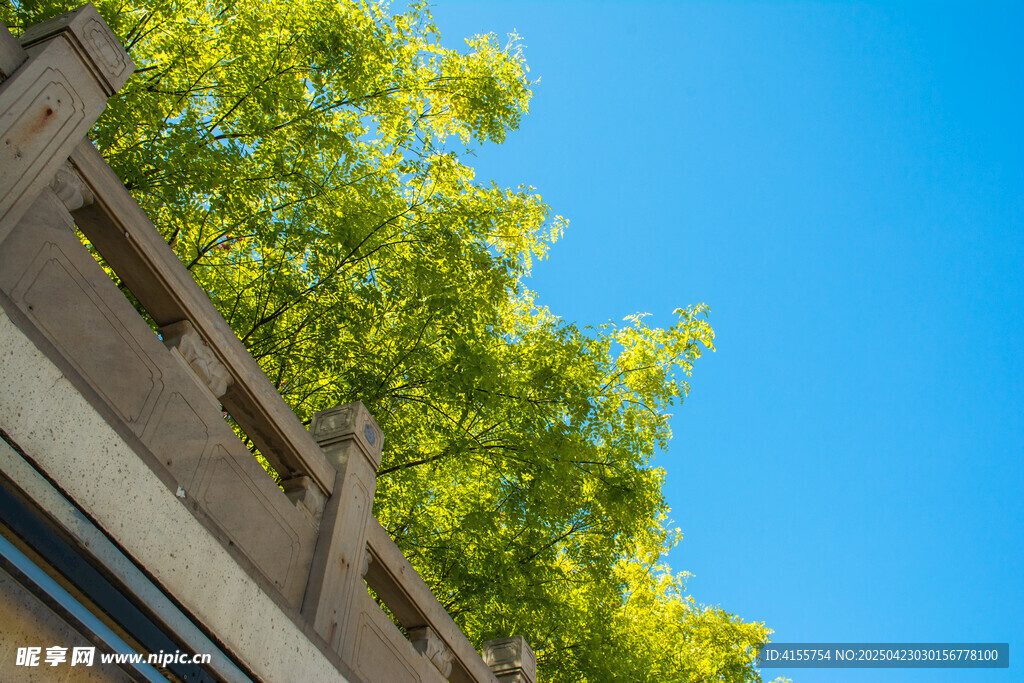 藍天綠樹旁的建筑一角