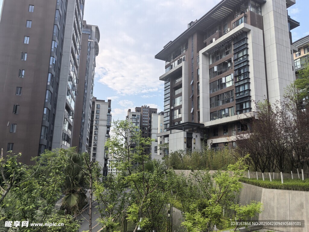 現代風格住宅周邊綠植環繞